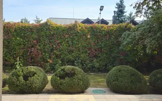 VILĂ IMPRESIONANTĂ CU PARC PRIVAT | 400 mp Construiți | 2.800 mp Teren - Poză 37