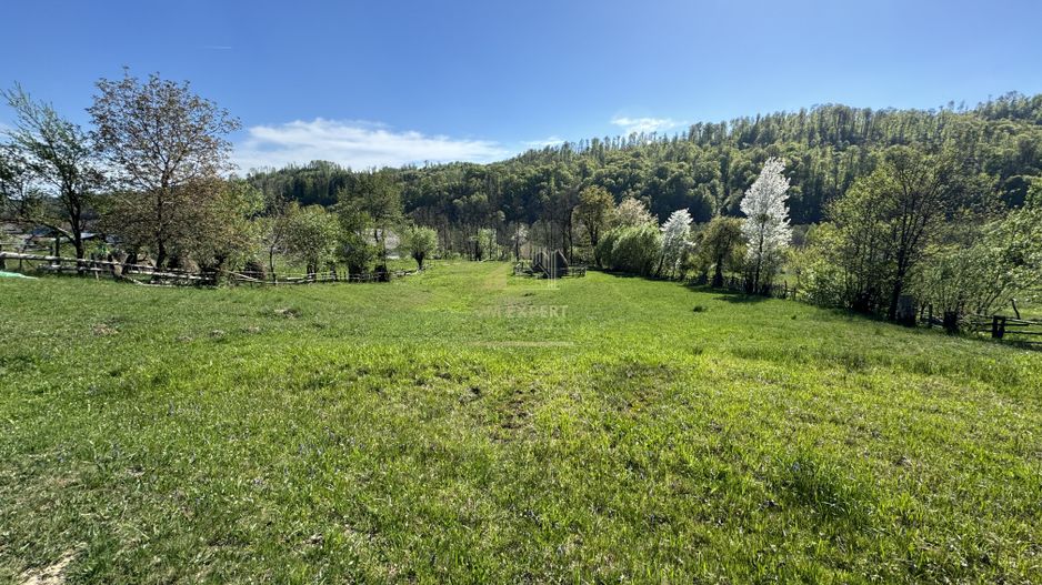 TEREN INTRAVILAN 2592 MP,  ALBESTI DE MUSCEL, ARGES - Poză 7