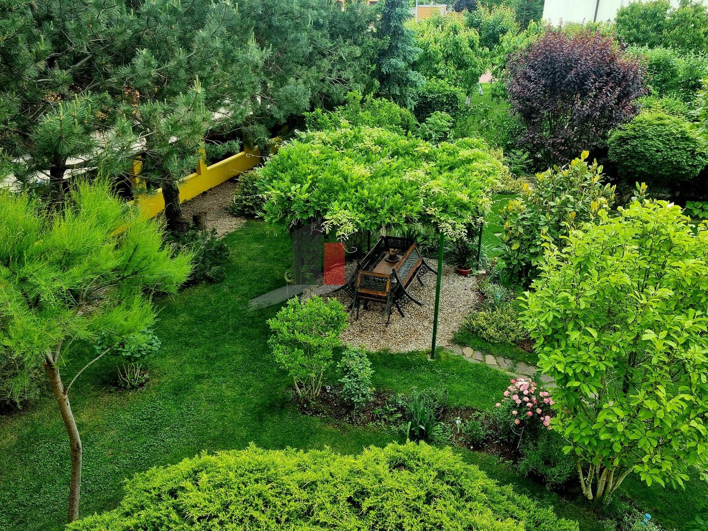 Vila cu gradina impresionanta | Prosumator | Tancabesti - Poză 10