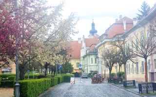 APARTAMENT ULTRACENTRAL SIBIU | 1 MIN PIAȚA MARE | 3 CAMERE | ETAJ 1 - Poză 15