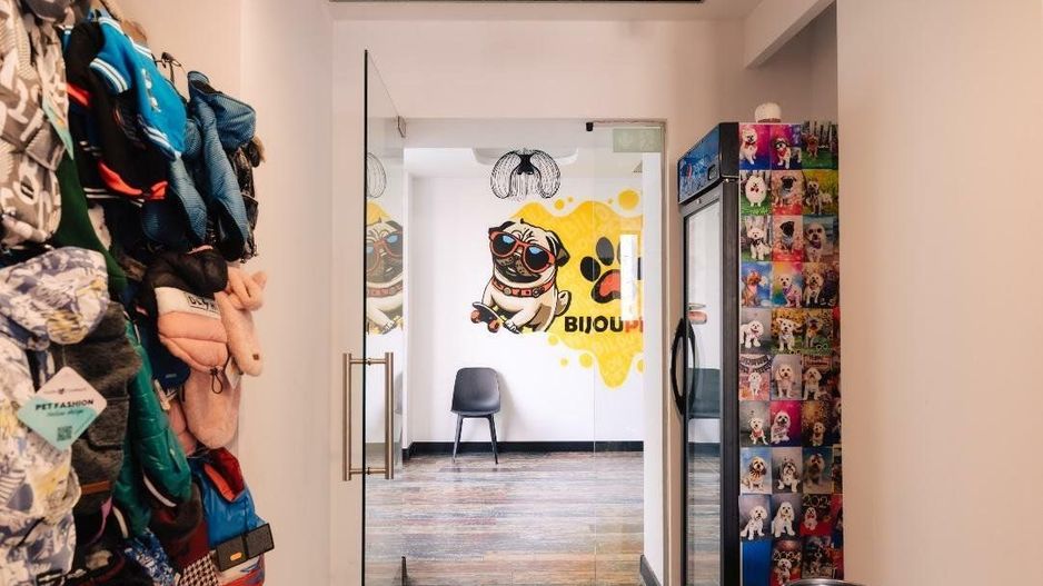 SPAȚIU VERSATIL DE VÂNZARE /  211 MP UTIL – 📍 Bulevardul Octavian Goga, Unirii - Poză 17