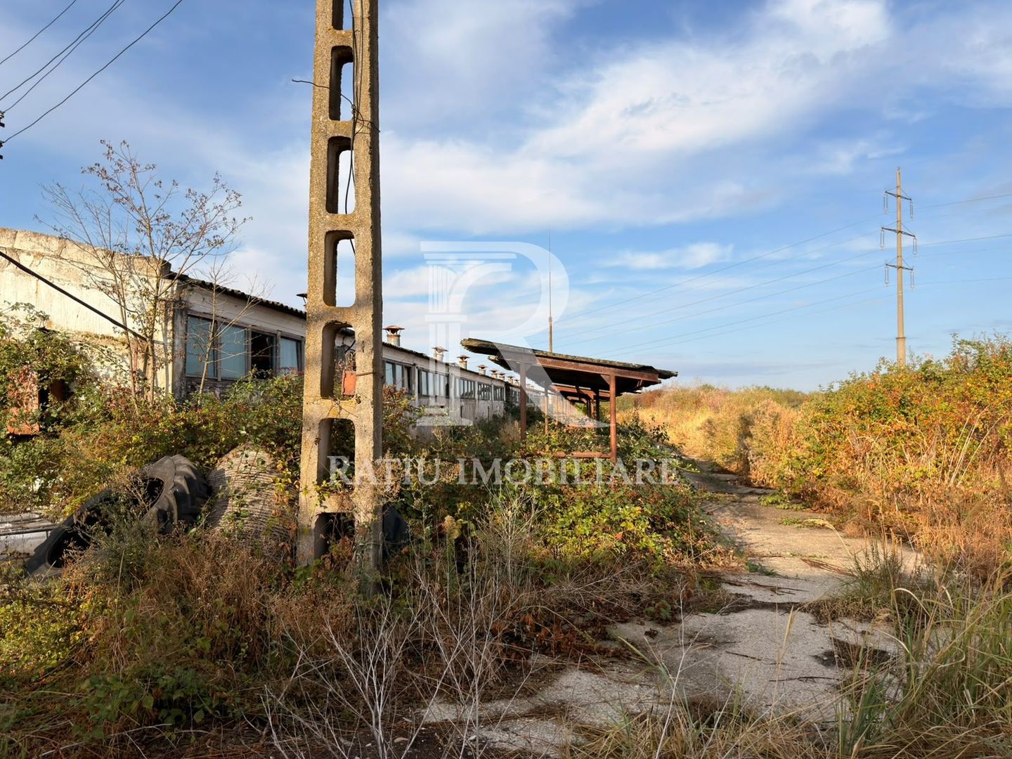 Fermă Sărand | Bihor | 25.659 mp teren intravilan - Poză 21