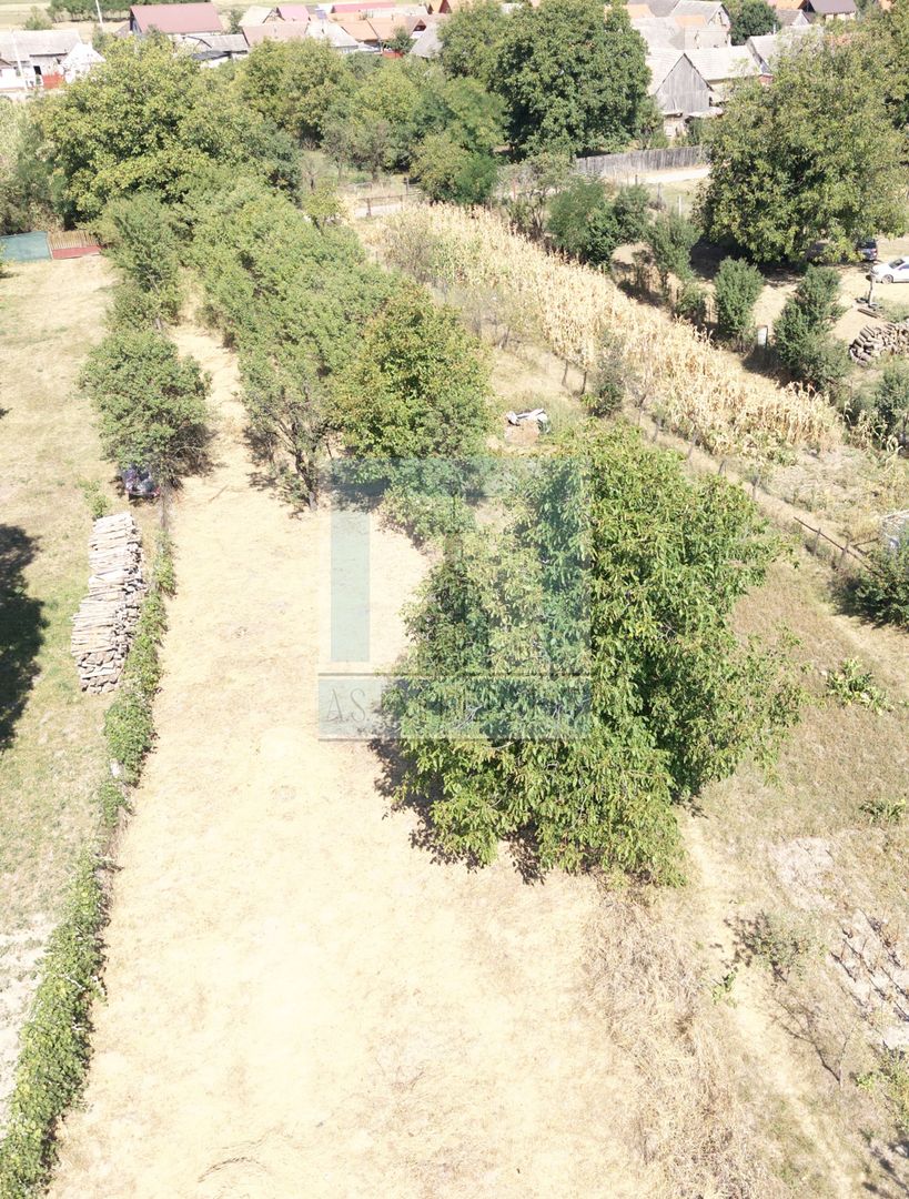 Casa 3 camere, beci ,teren 610 mp + grădină 620 mp-Loc. Cuciulata - Poză 15