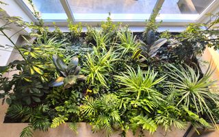 Exclusivitate- Apartament în bloc nou, la PRIMA ÎNCHIRIERE - Poză 20