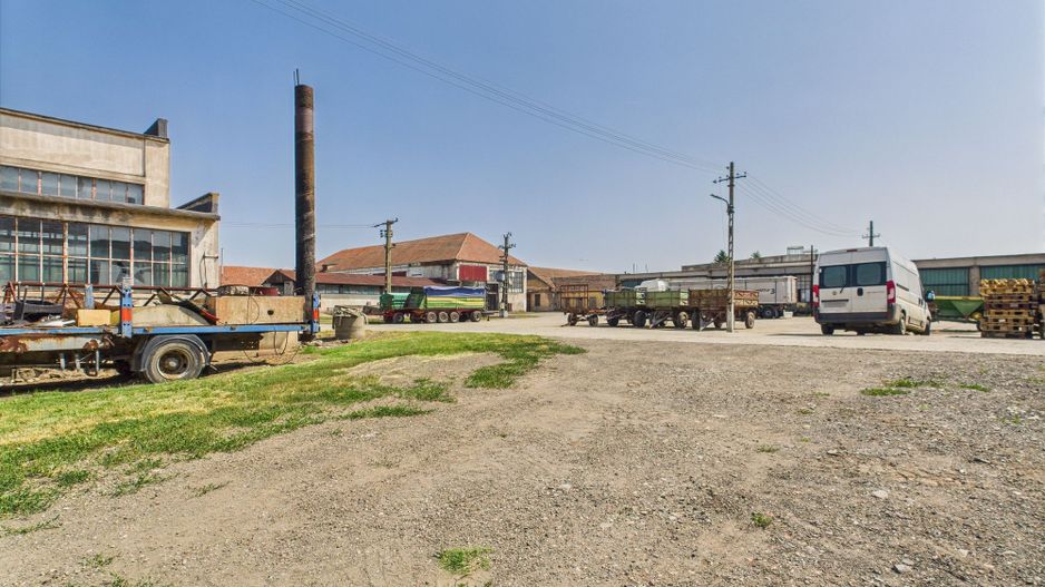 Complex industrial cu hale și teren  în Orțișoara - Poză 32