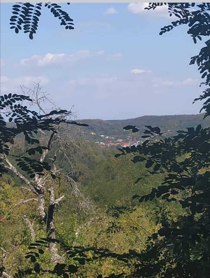 Casă de vânzare la liziera pădurii – Comuna Bogați, Argeș - Poză 16