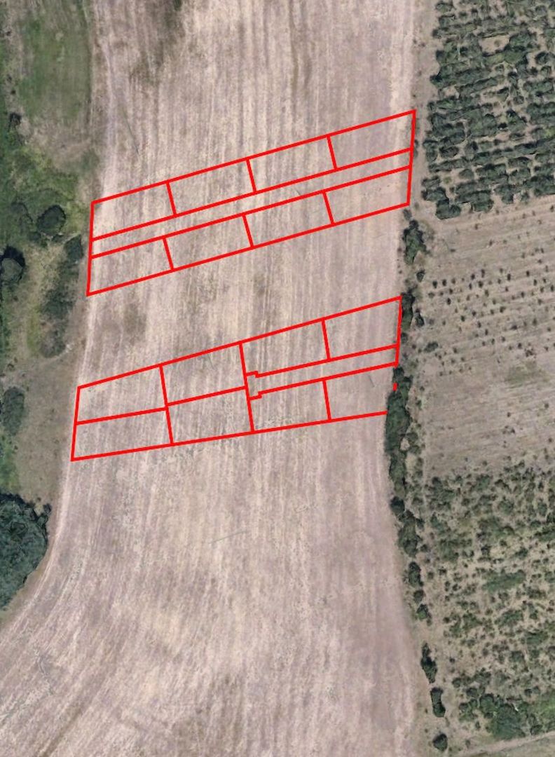 Parcele de teren extravilan, intre 614mp-651mp-Rusciori, jud Sibiu - Poză 4