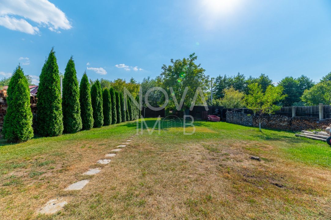 Casa + Pensiune deosebita - Orlat, Sibiu - Poză 61
