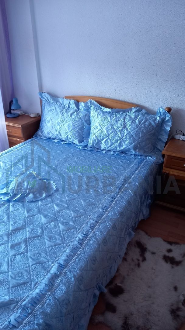 Cameră decomandată pentru elev de liceu în Alexandru cel Bun - Poză 1