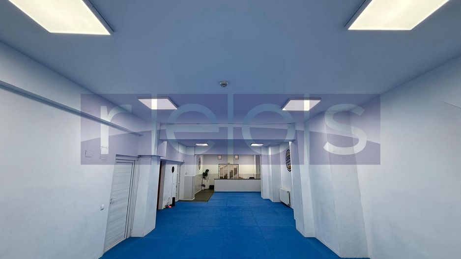 INCHIRIERE SPATIU DEMISOL | BARBU VACARESCU  | 196MP | - Poză 2