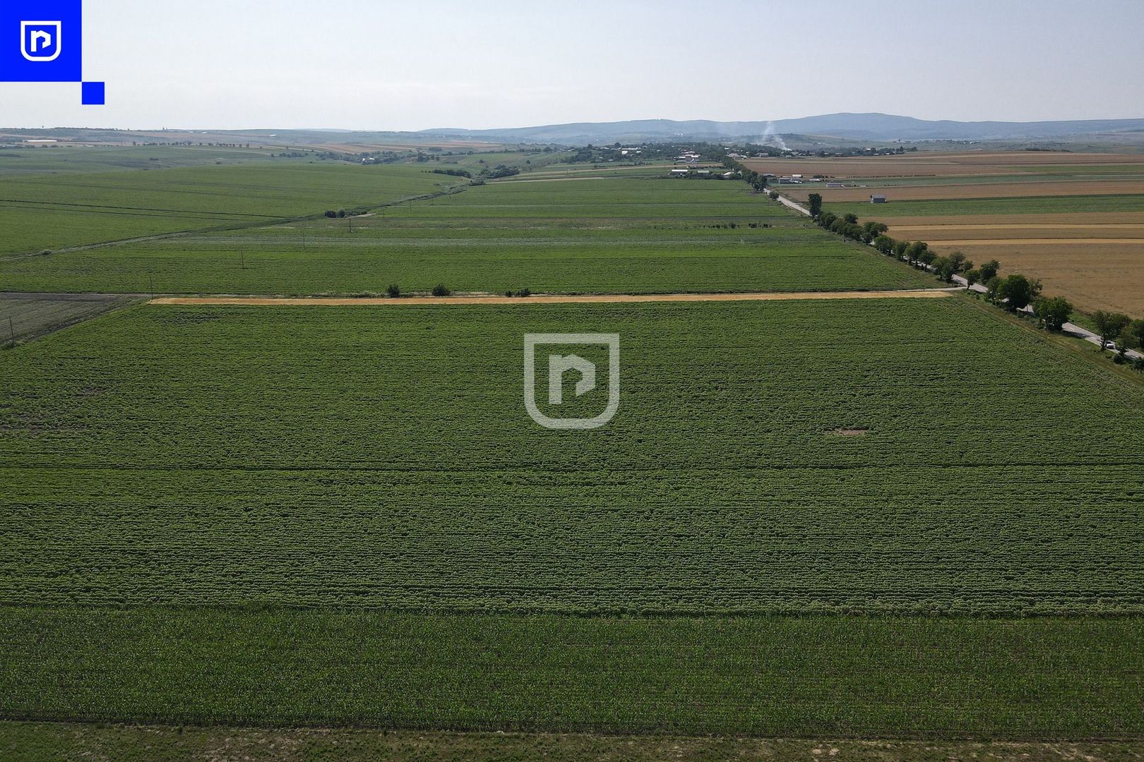 Teren - Orășeni Deal, Curtești | BOTOȘANI | 10.000mp - Poză 3