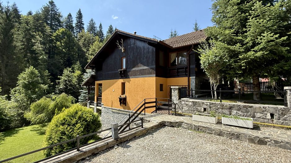 Vila de exceptie in Sinaia, mobilata, utilata, cu vedere superba - Poză 1