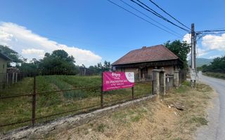 GRADINA BUNICII DE ODINIOARA,DE VANZARE -PAPAUTI,COVASNA. - Poză 4