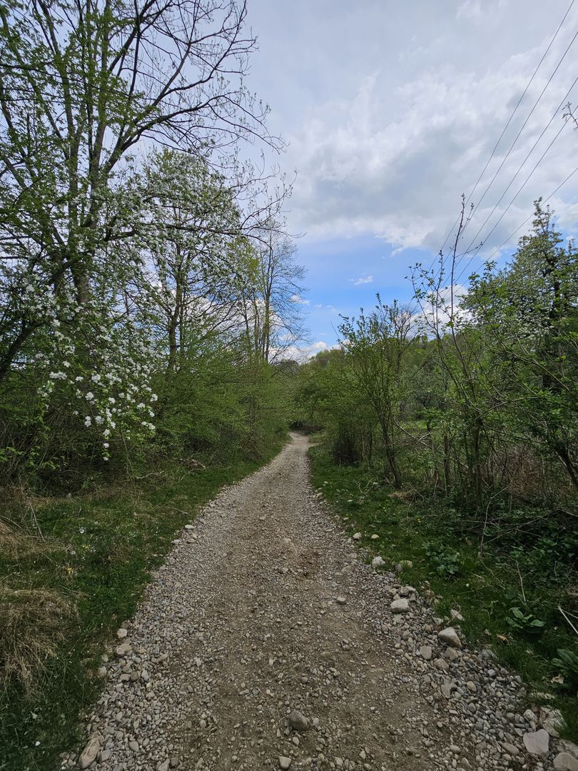 Teren intravilan 1454 mp la marginea padurii zona locuita de case! - Poză 15