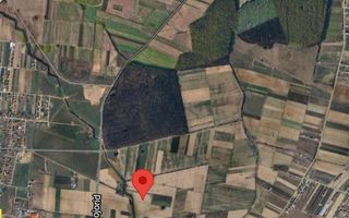 Teren extravilan Nojorid 11000mp - Poză 2