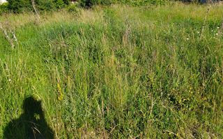 Teren 1970 mp-ideal case/case de vacanta/investitie-Zona Dealul Jelnei - Poză 2