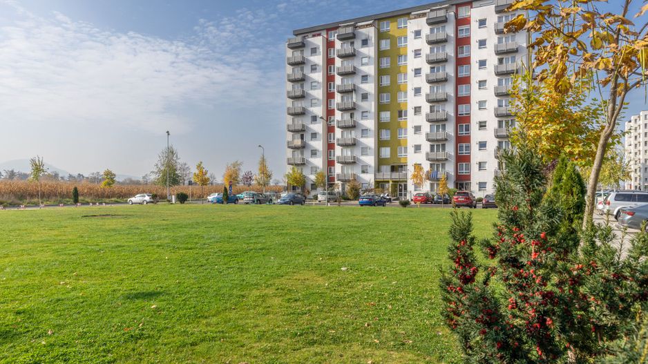 Oferim spre inchiriere apartament 2 camere etaj intermediar - Poză 14
