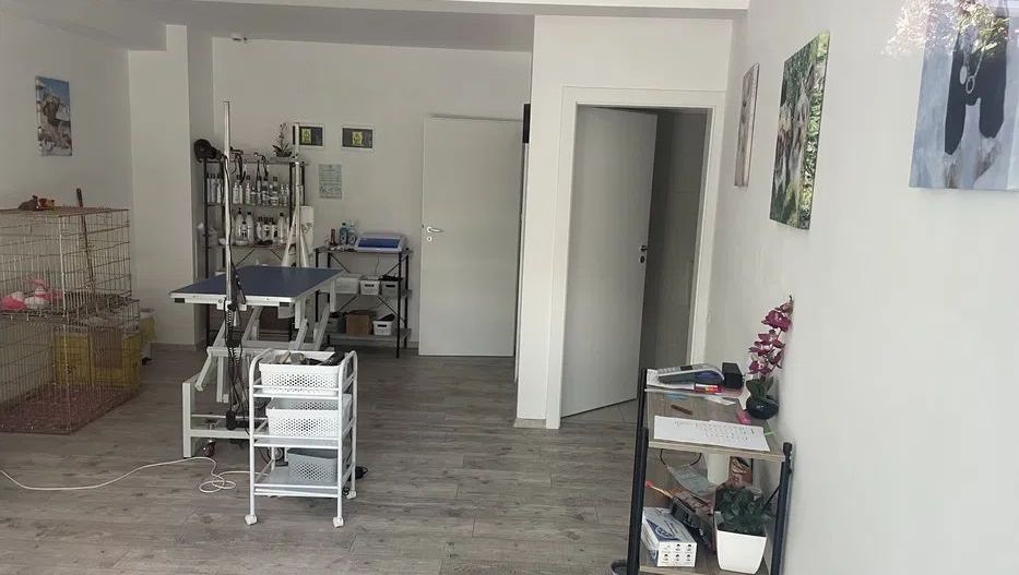 Spatiu de Birouri Buna Ziua , Bloc Nou - Poză 4