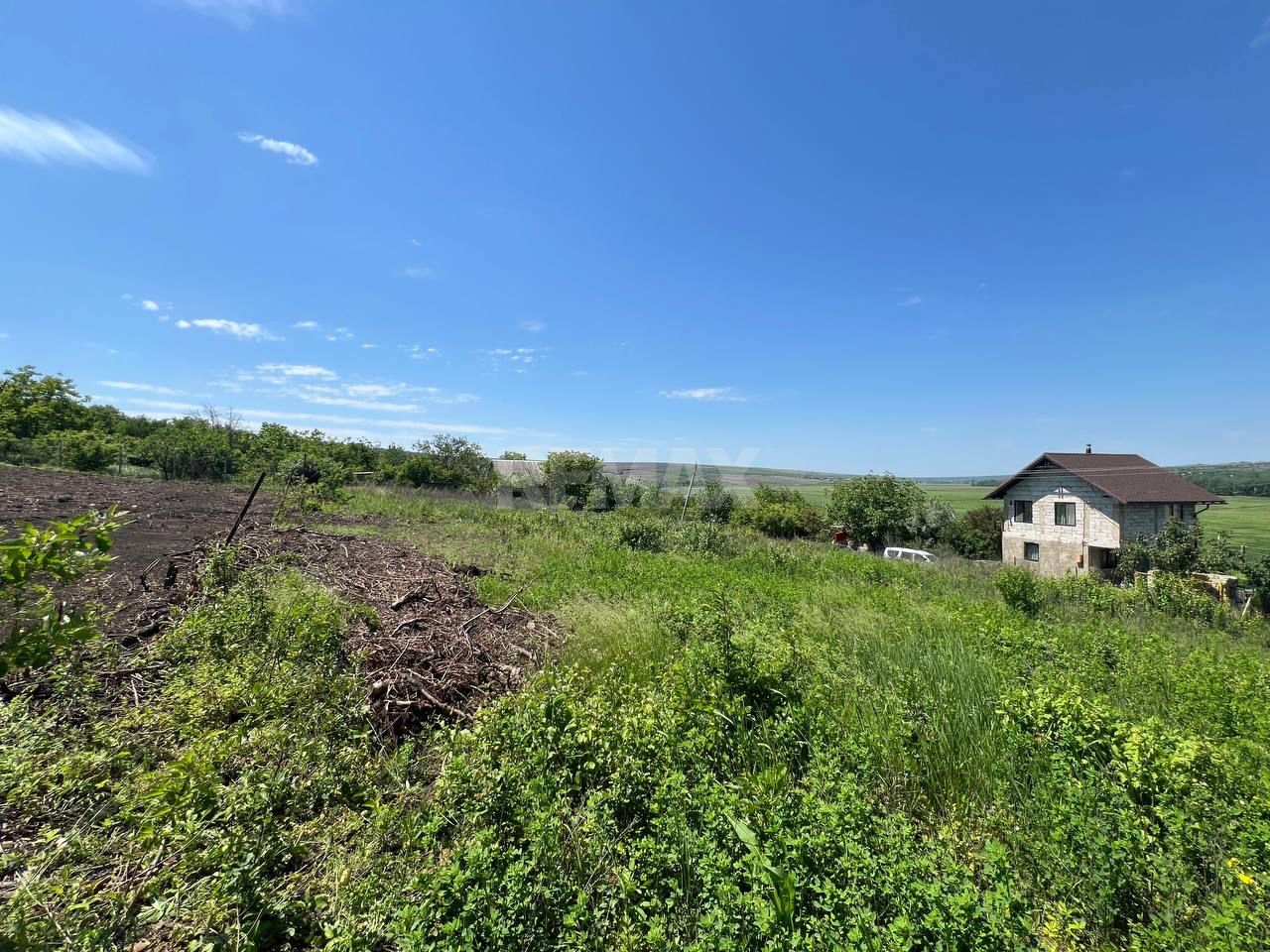 Lot pomicol 12 ari  Vadul lui Vodă - Poză 1