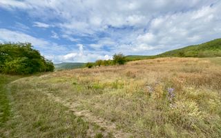 Teren 4.000 mp | Front Generos 47 ml | Utilități | La Asfalt | Cricău - Poză 4