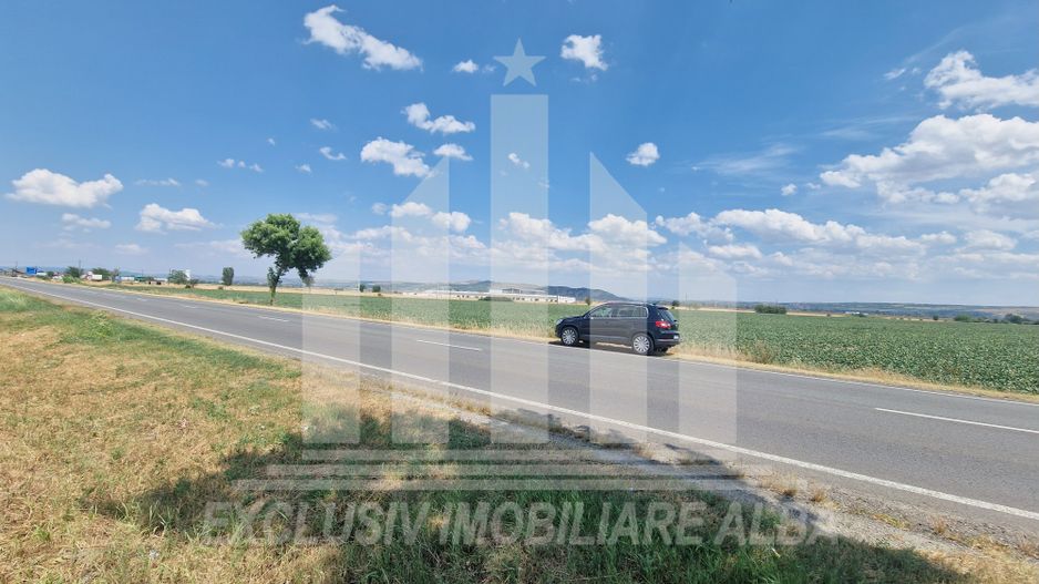 Teren agricol la sosea, pretabil si ptr constructii industriale - Poză 6