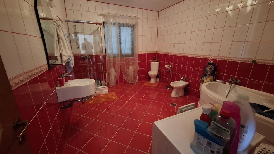 🏡 Casă de vânzare – Nicolae Bălcescu, la E85 - Poză 15