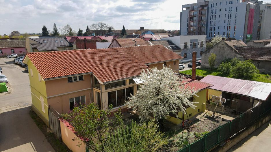 Lunei - Ion Neculce, 2 Apartamente. Mansarda 157 mp. Anexe, Lot 475 mp - Poză 2