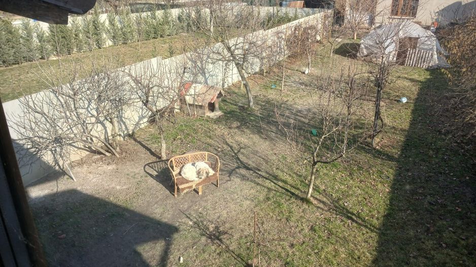 Casa P+ M - Poză 13