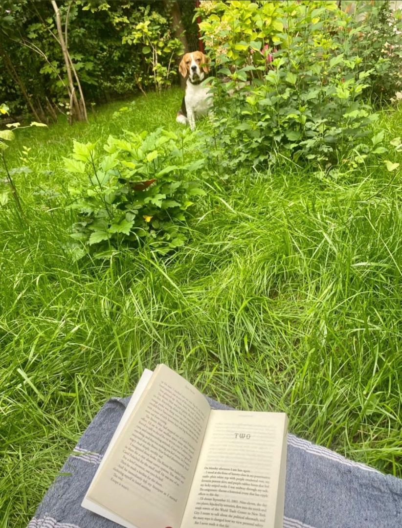 2 camere parter | pet friendly | acces gradina Floreasca - Garibaldi - Verdi - Poză 12