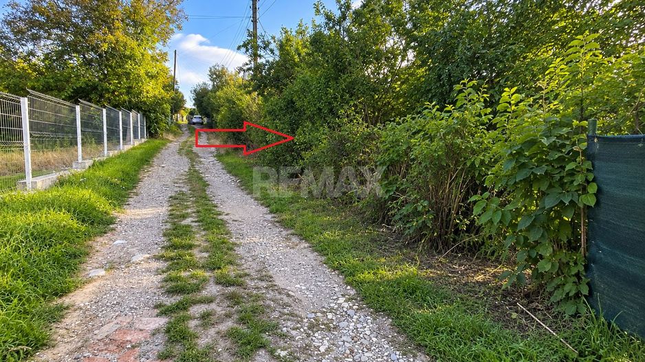 LOT POMICOL DE VÂNZARE – 5,7 ARI | IALOVENI  Î.P. „Floare-Carpet - Poză 5
