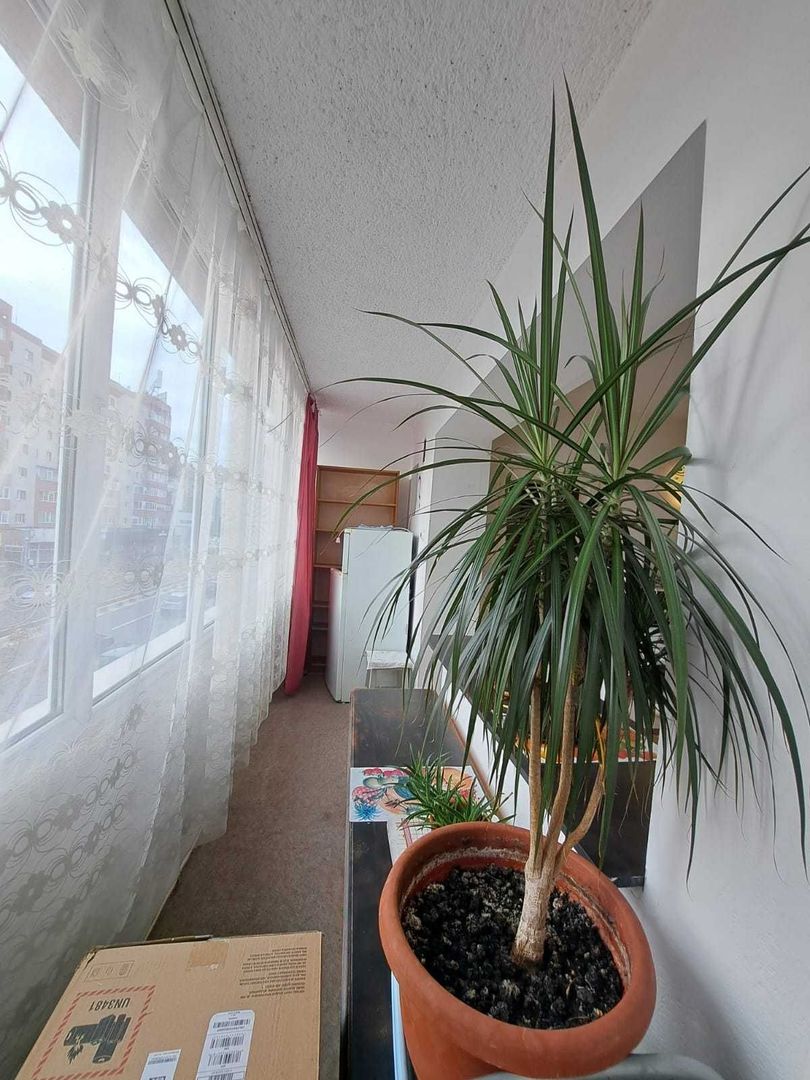 Garsoniera Calea Bucuresti, Judetean - Poză 6