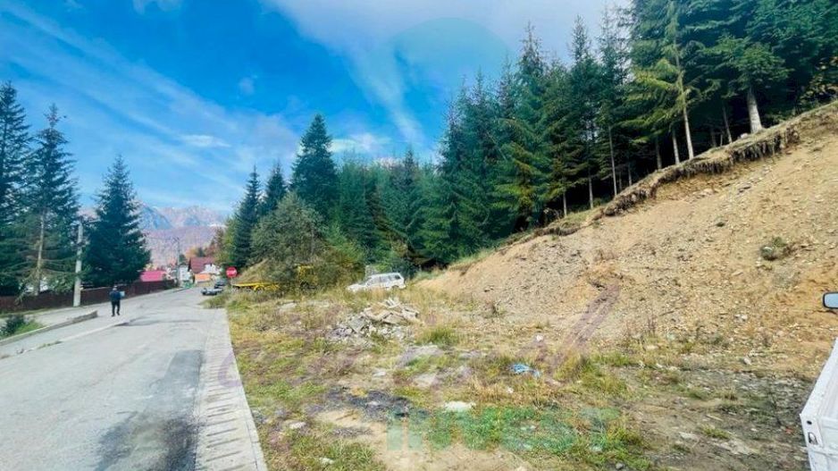 Teren 343 mp ideal cabana in Azuga - Poză 6