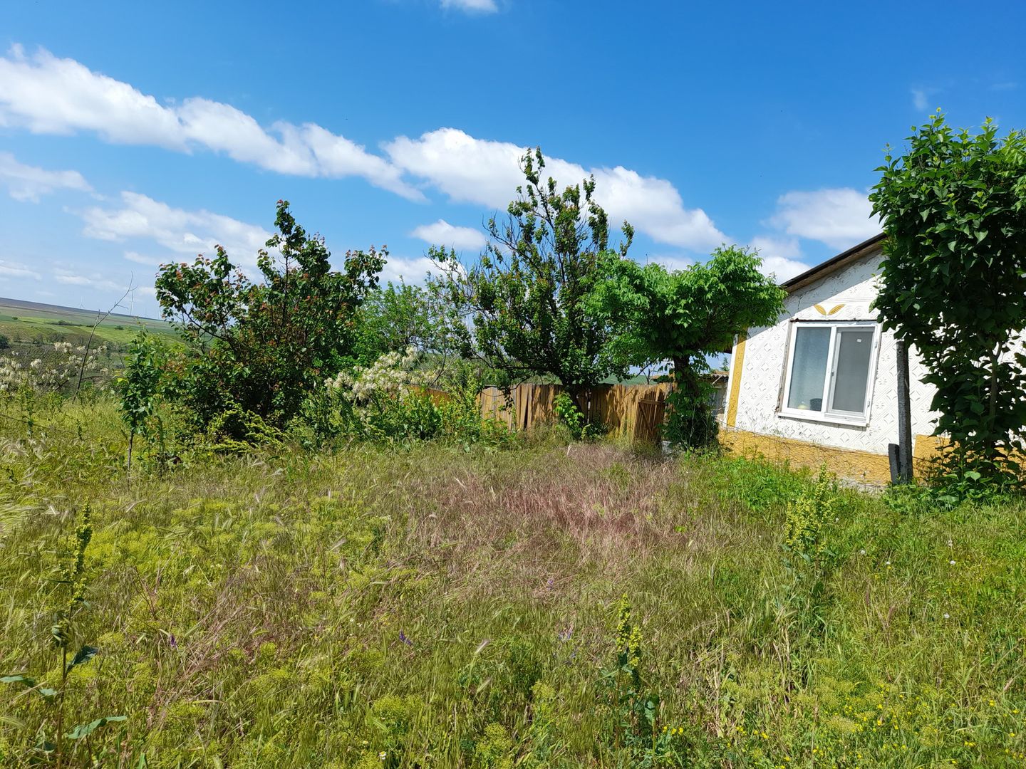 Casă cu teren de 1.470 mp de vânzare – Fântânele, Scânteiești - Poză 42