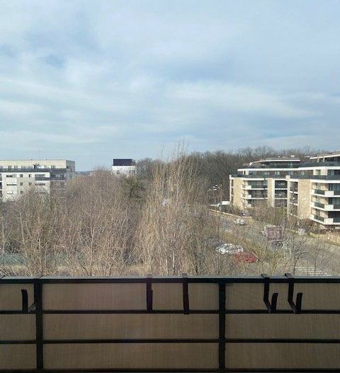 Apartament 3 camere Iancu Nicolae | Zoo - Poză 14