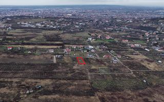 Teren Intravilan, Nicolae Beldiceanu - Poză 3