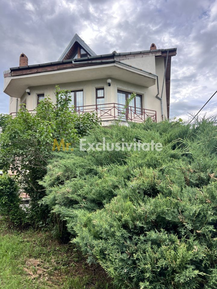 Acasă la Bascov- Județ Arges cu peisaj de poveste - Poză 27