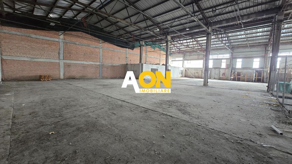 Spațiu Industrial, 900mp, Zona Bărăbanț - Poză 12