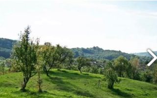 TEREN 2530 MP, INTRAVILAN, CAMPULUNG, 37000 EURO - Poză 3