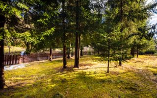 Cabane cu 10 camere Arieseni - Poză 3