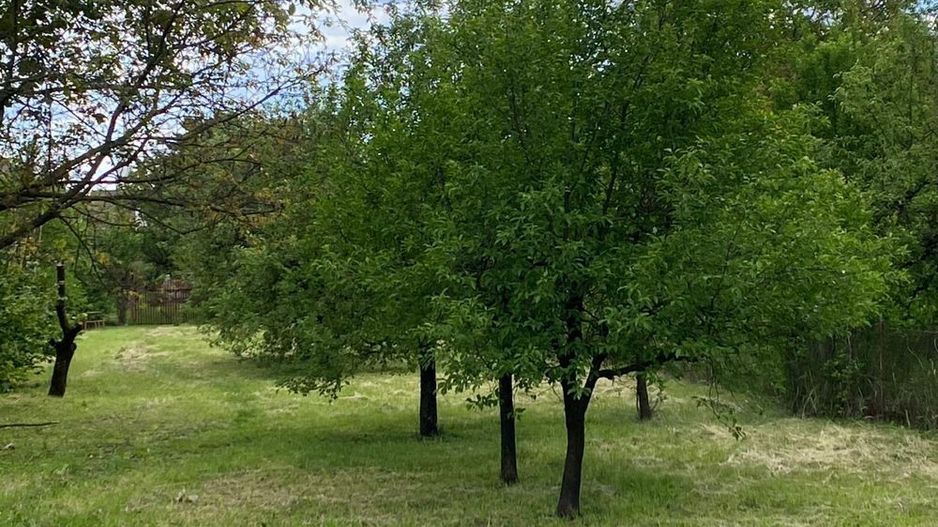 BRASADAS vinde casa cu 3 cam teren 17 ari zona Titulescu. - Poză 5