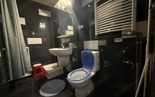 Aradului | 1 Camera | Decomandat - Poză 7