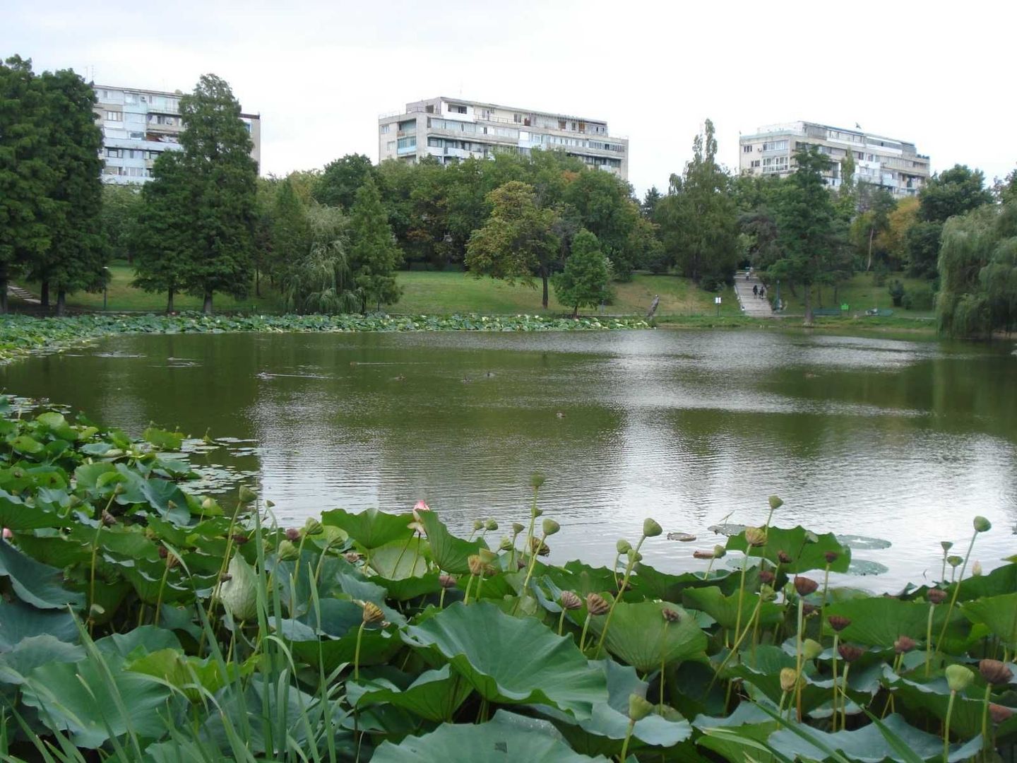 De inchiriat. Apartament 3 camere Pacul Circului cu vedere la parc - Poză 3