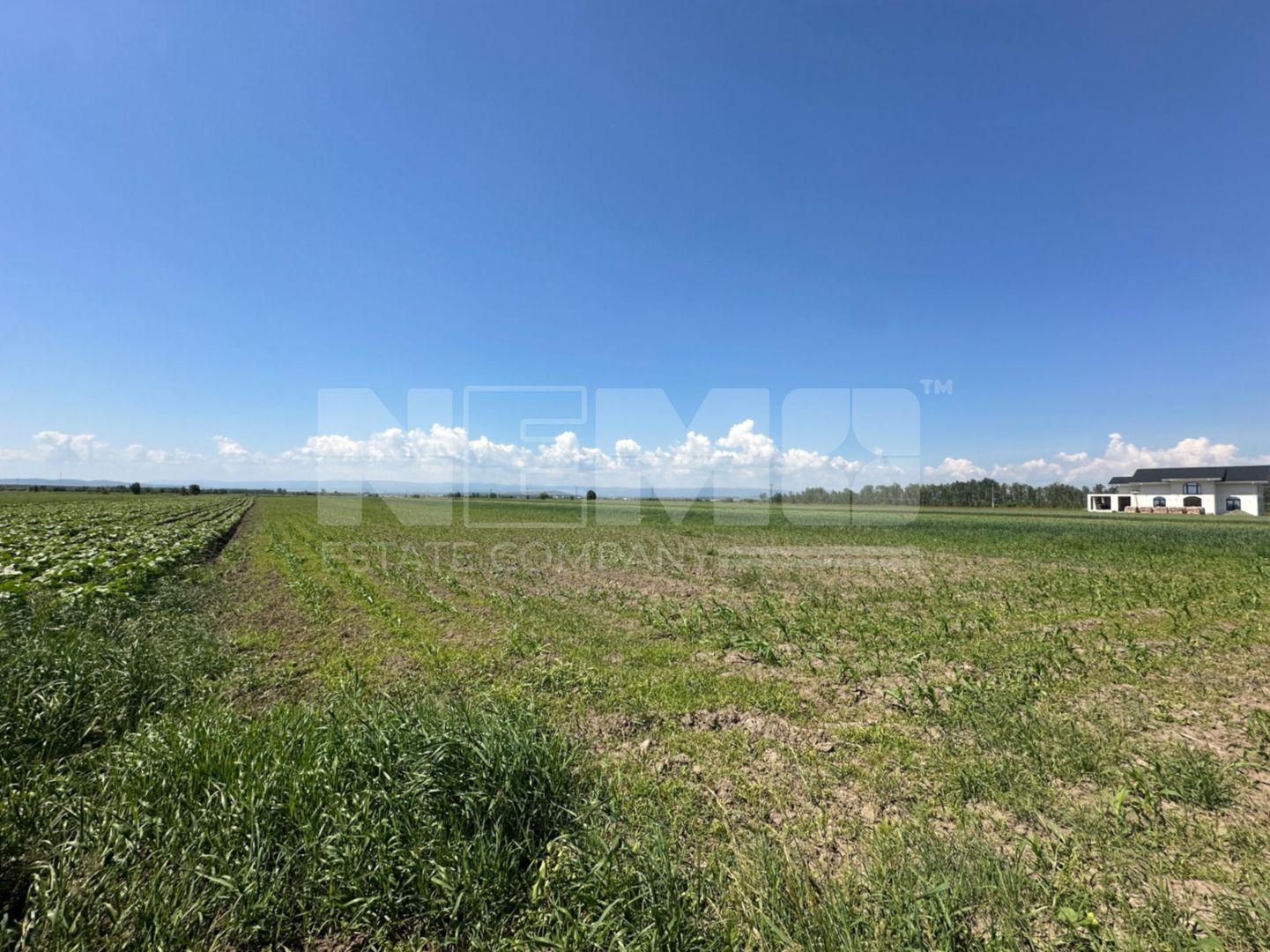 Teren Extravilan | 52 ari | Maneuti | Front 26 m | 55.500 € - Poză 8