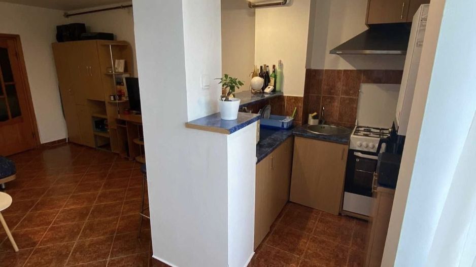 Vand Garsoniera pe Alex Lapusneanu 110 Bl 17 - Poză 6