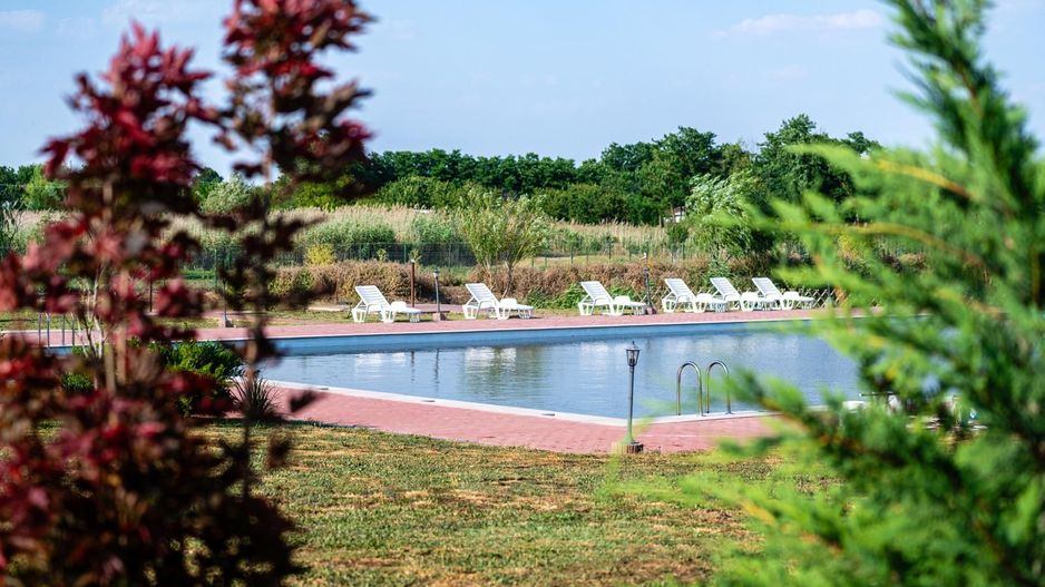 Sala de evenimente cu  piscina si foisor Biled COMISION 0 % CUMPARATOR - Poză 16