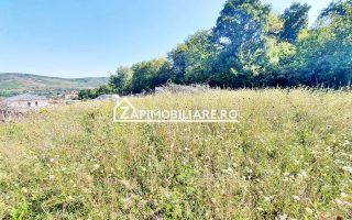 Teren  intravilan 702 mp. Corunca - Poză 8