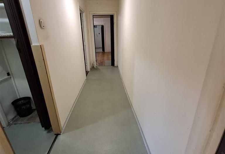 3 camere zona G. Lazar centrala. parter - Poză 23