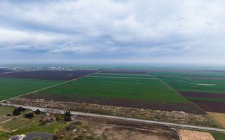 Teren de 41800 mp ieșire Vladimirescu - Poză 6