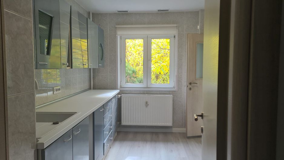 2camdec61mp,nou-pet friendly/zona metrou Brancoveanu/strSecuilor 3 - Poză 3