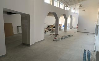 Casa Individuala | Vasile Lascar - Eminescu | 355 mp utili | 9 Camere - Poză 1